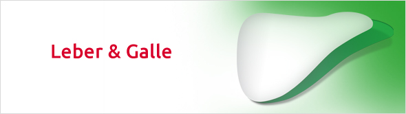 Leber & Galle