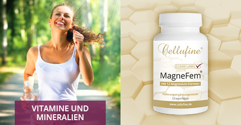 Vitamin – Mineralien