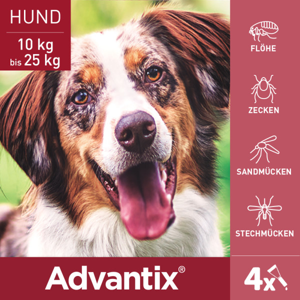 ADVANTIX Spot-on Lsg.z.Auftr.a.d.H.f.Hund 10-25 kg