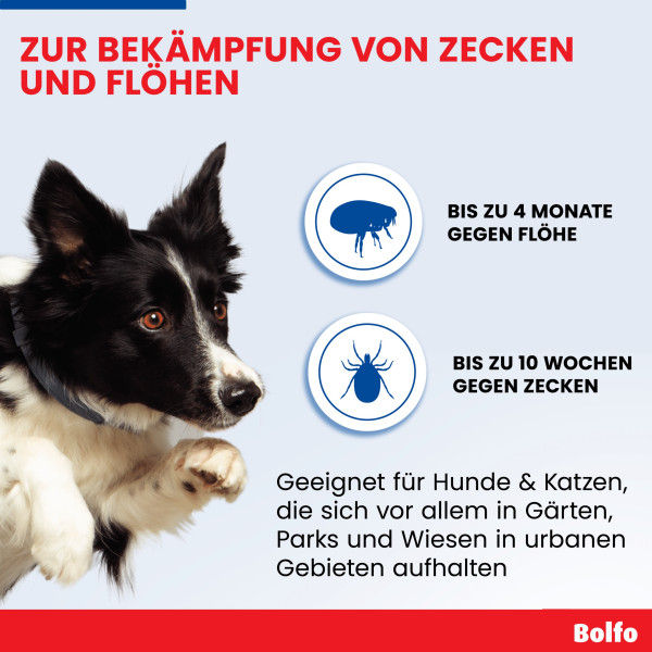 BOLFO Flohschutzband braun f.kleine Hunde/Katzen