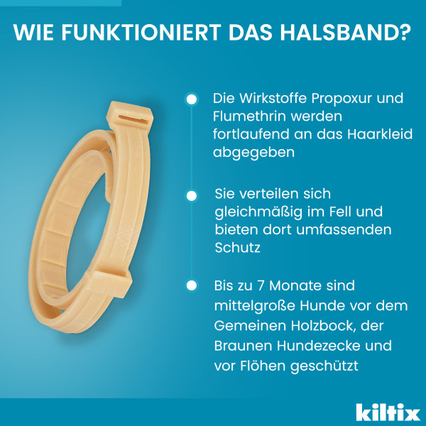 KILTIX Halsband f.mittelgroße Hunde