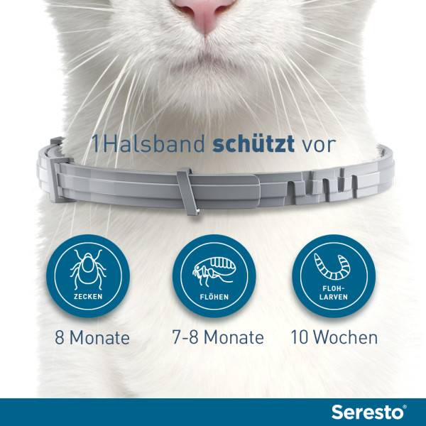 SERESTO Halsband f.Katzen