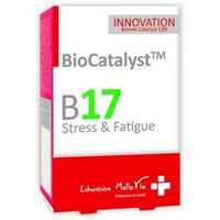 BIOCATALYST B17 Stress & Müdigkeit Kapseln