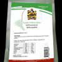 STAUDENSELLERIE Pulver Monatskur