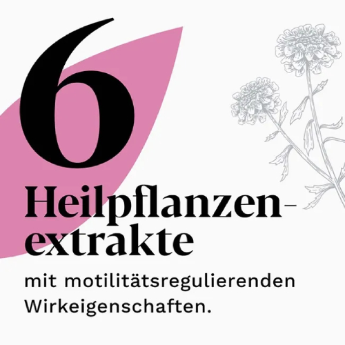 IBEROGAST ADVANCE Flüssigkeit zum Einnehmen