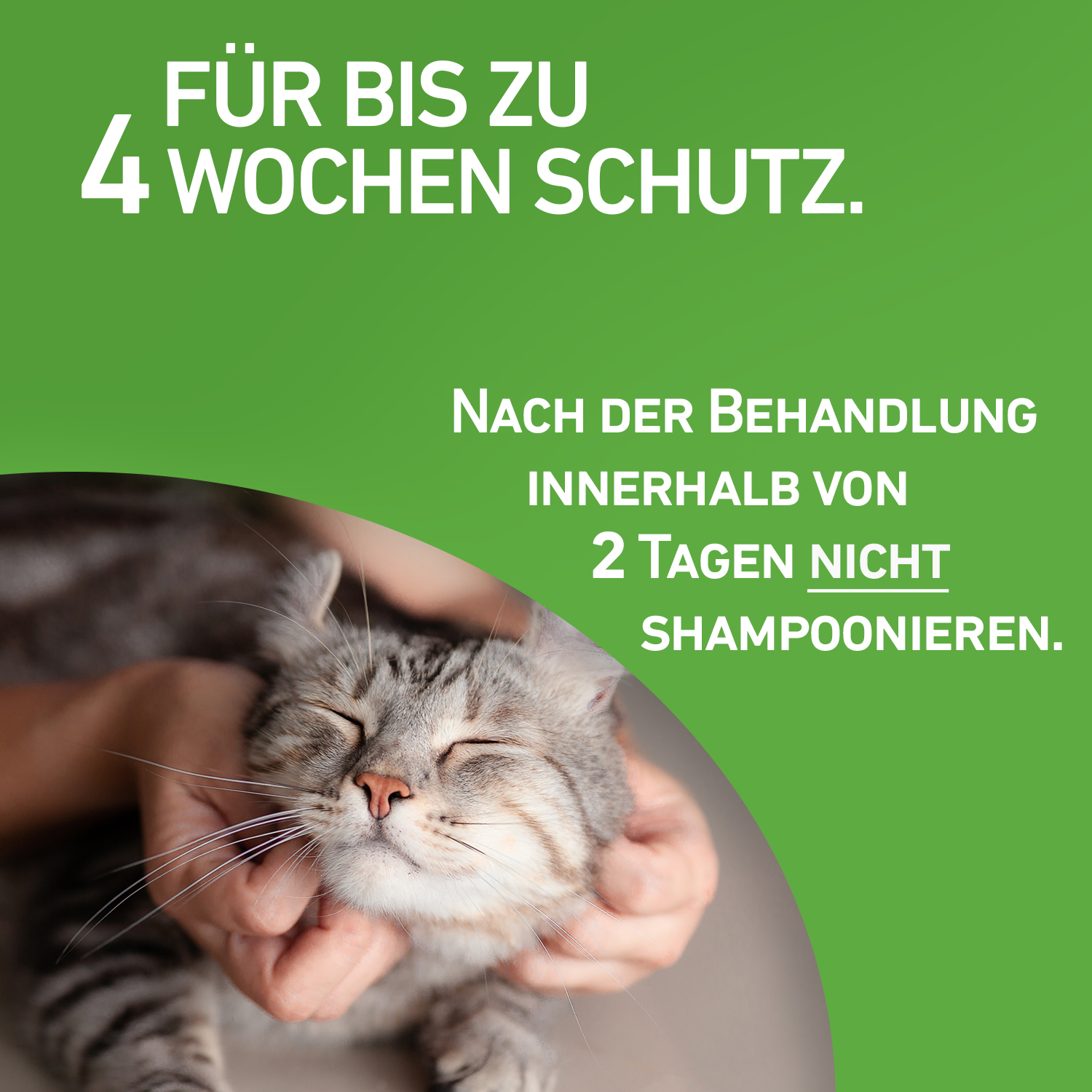 FRONTLINE Combo Spot on Katze Lsg.z.Auft.a.Haut