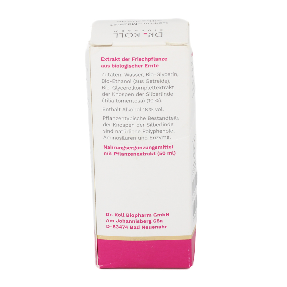 GEMMO-MAZERAT Silberlinde Dr.Koll Tilia tomen.Tro.