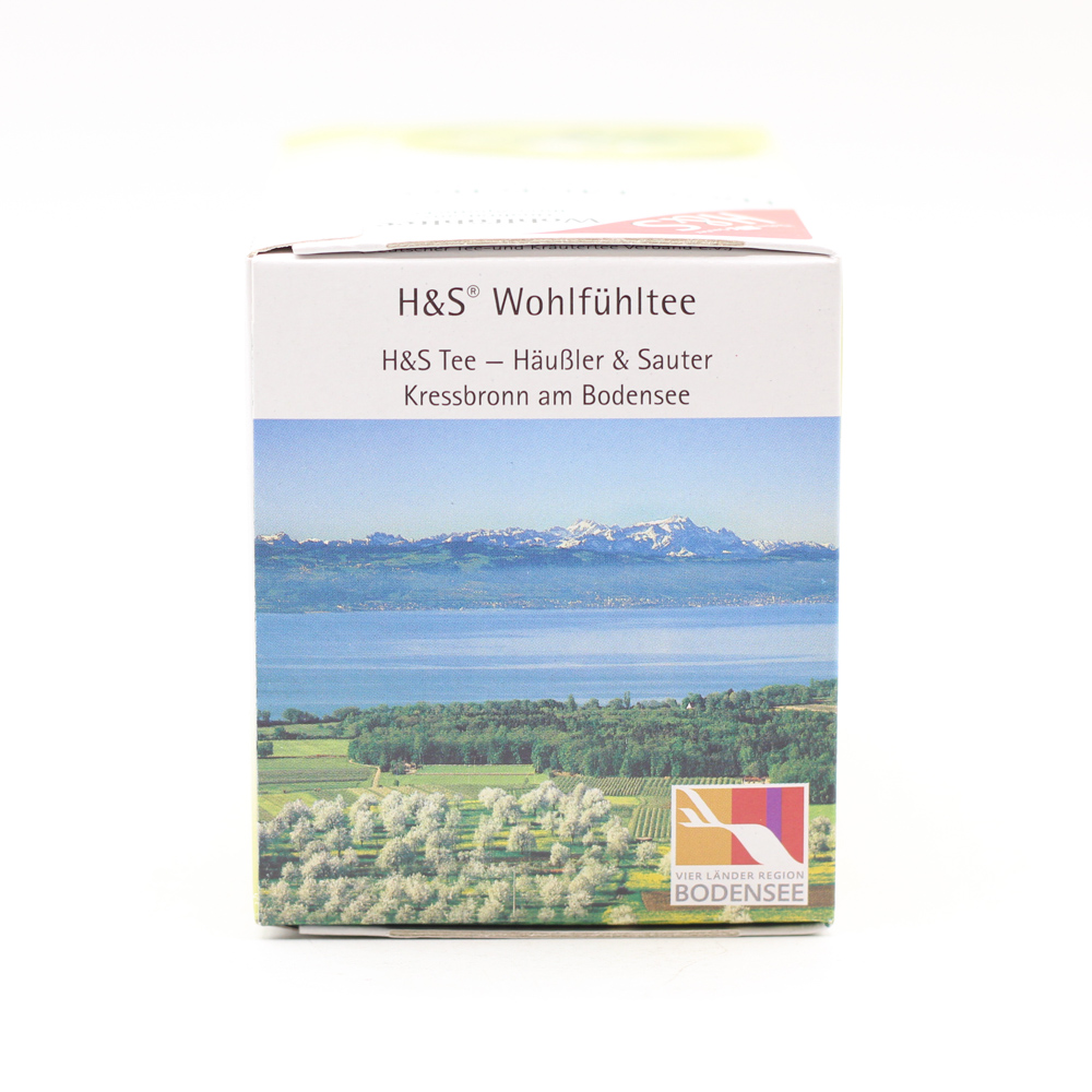 H&S Misteltee mit Selen und Vitaminen Filterbeutel