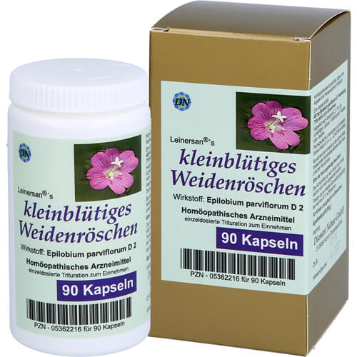 KLEINBLÜTIGES WEIDENRÖSCHEN Kapseln