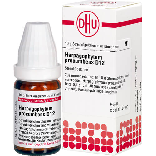 HARPAGOPHYTUM PROCUMBENS D 12 Globuli