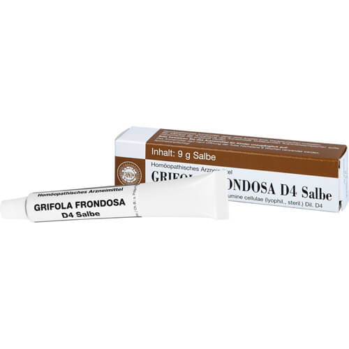 GRIFOLA frondosa D 4 Salbe