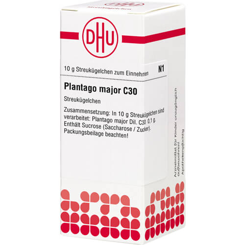 PLANTAGO MAJOR C 30 Globuli