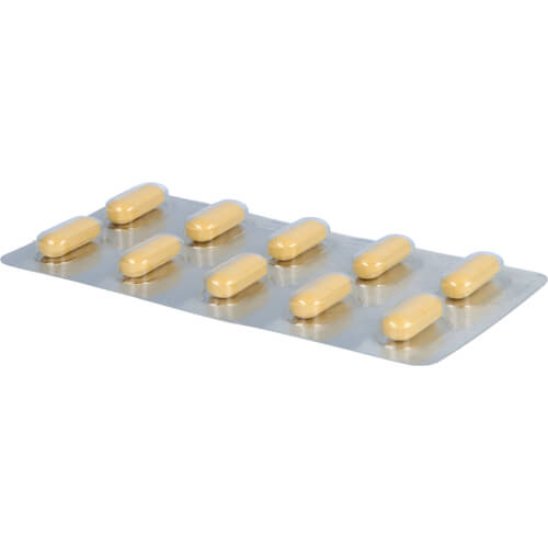 GINKGO AbZ 240 mg Filmtabletten