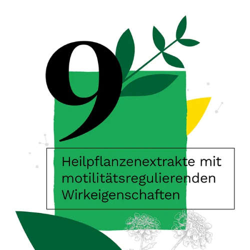 IBEROGAST Classic Flüssigkeit zum Einnehmen