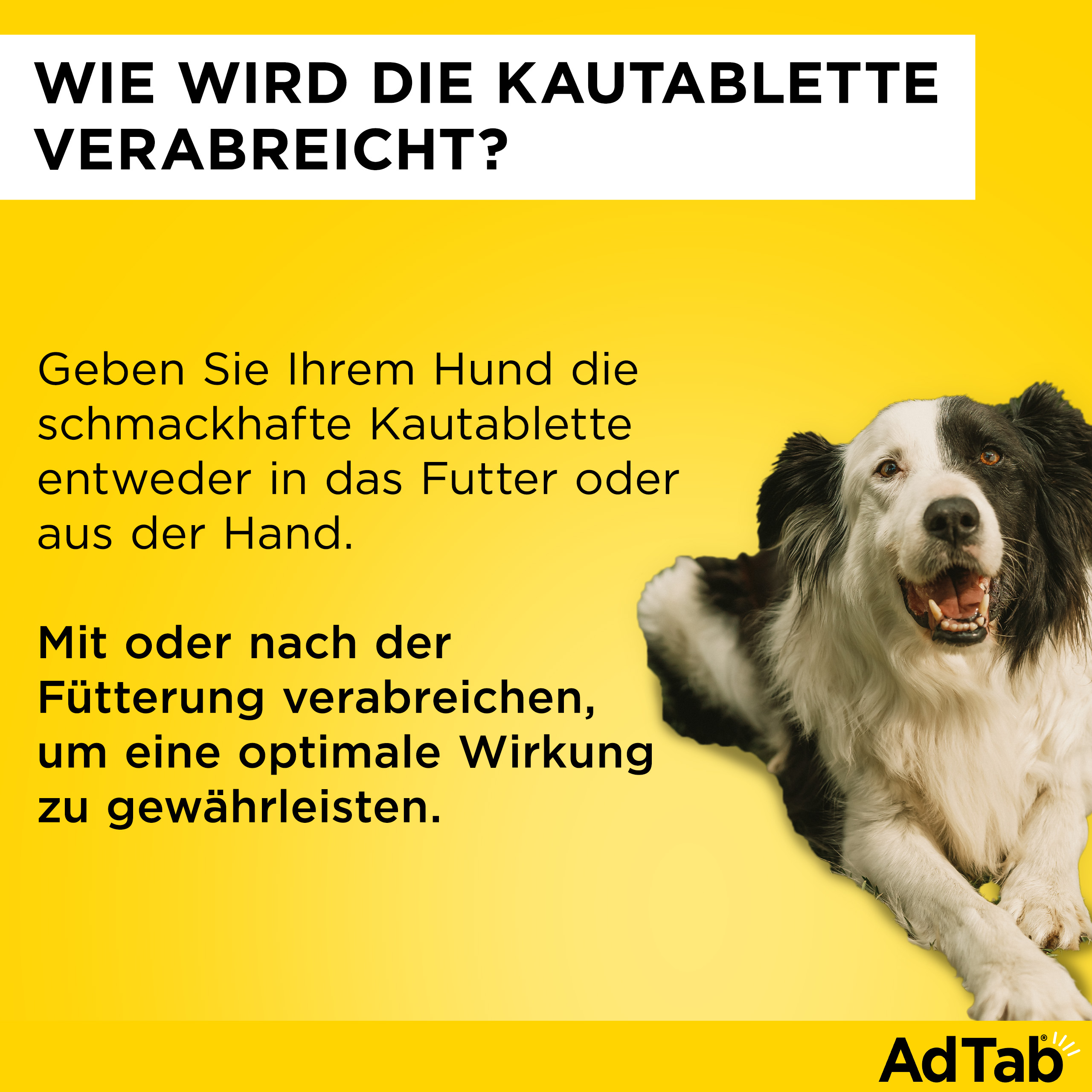 ADTAB 225 mg Kautabletten für Hunde >5,5-11 kg