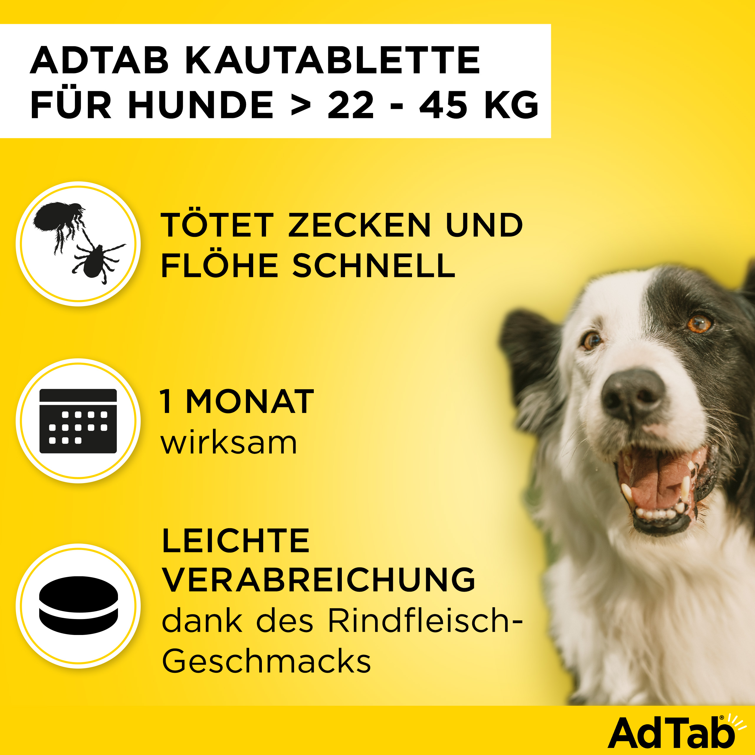 ADTAB 900 mg Kautabletten für Hunde >22-45 kg