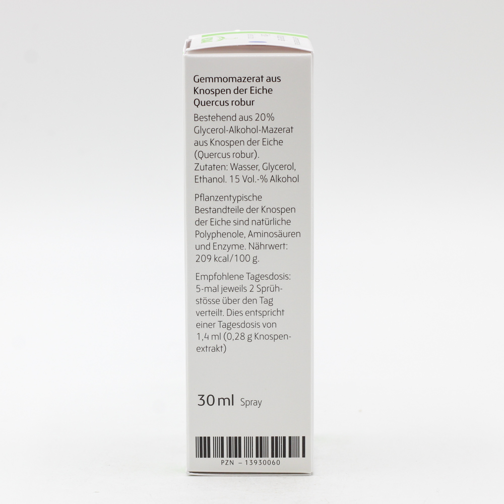 GEMMO-MAZERAT Quercus robur Spray