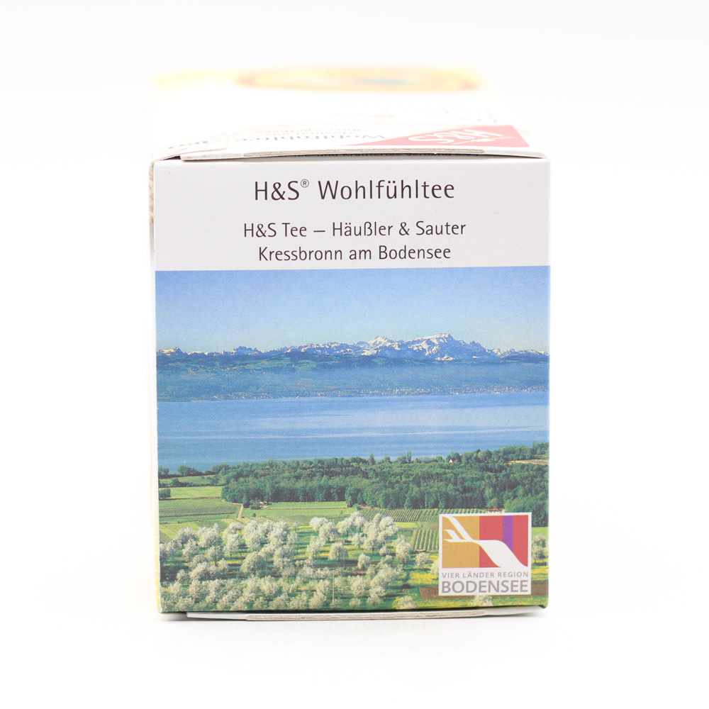 H&S Bio Ingwer-Curcuma Filterbeutel