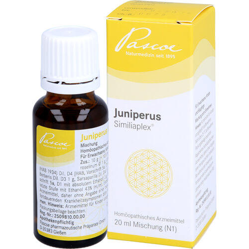 JUNIPERUS SIMILIAPLEX Mischung