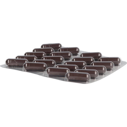 GRANU FINK Prosta plus Sabal Hartkapseln